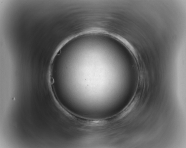 X0000099981390200805301345