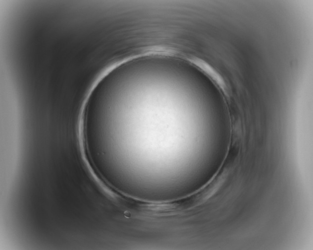 X0000099981391200805301345