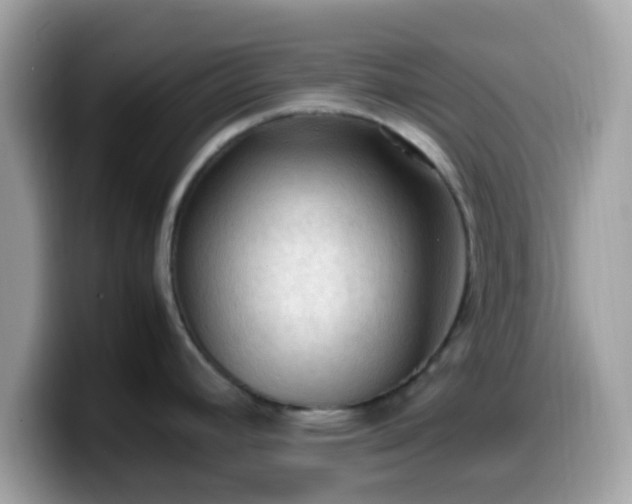 X0000099981392200805301345