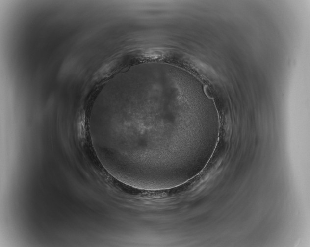 X0000099981394200805301344
