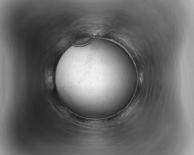 X0000099981396200805301344
