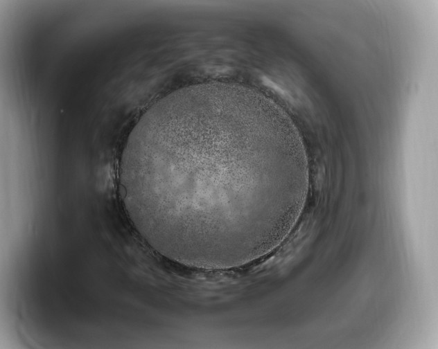 X0000099981397200805301344
