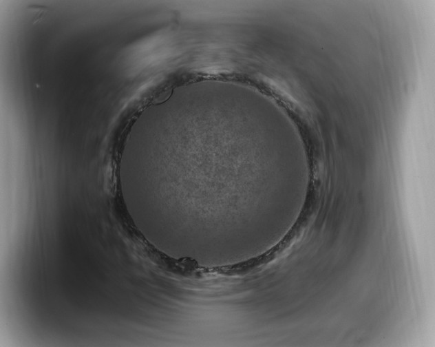X0000099981398200805301344