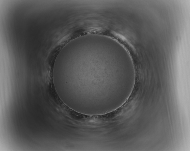X0000099981399200805301344