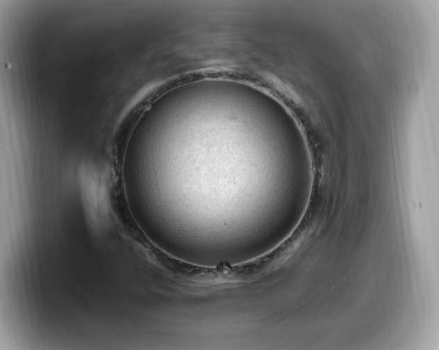 X0000099981400200805301344