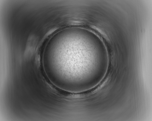X0000099981402200805301344