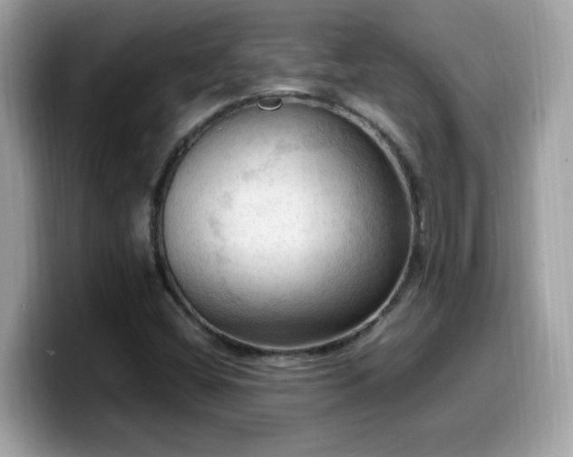 X0000099981404200805301344