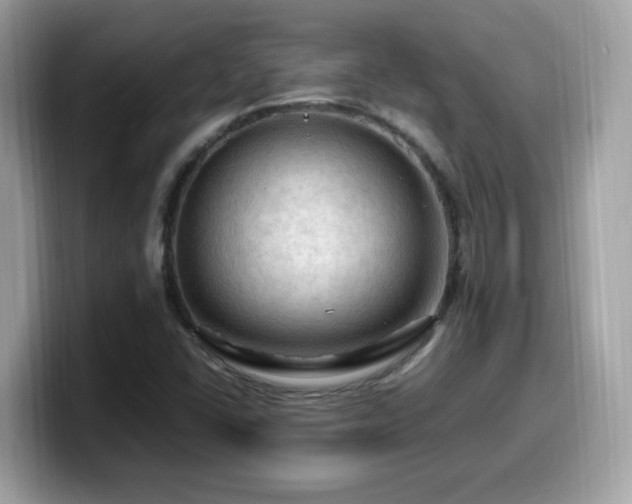 X0000099981406200805301344