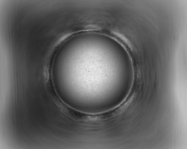 X0000099981407200805301344