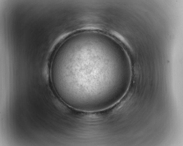 X0000099981408200805301344