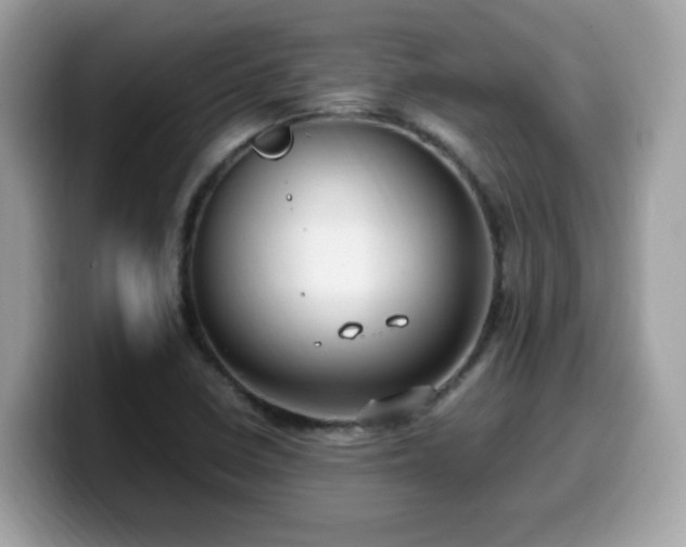 X0000099981410200805301344