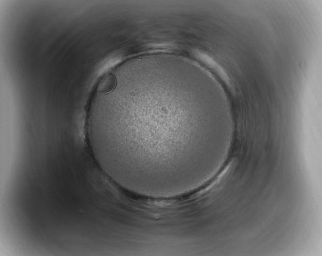 X0000099981411200805301344