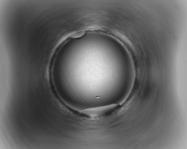 X0000099981412200805301344