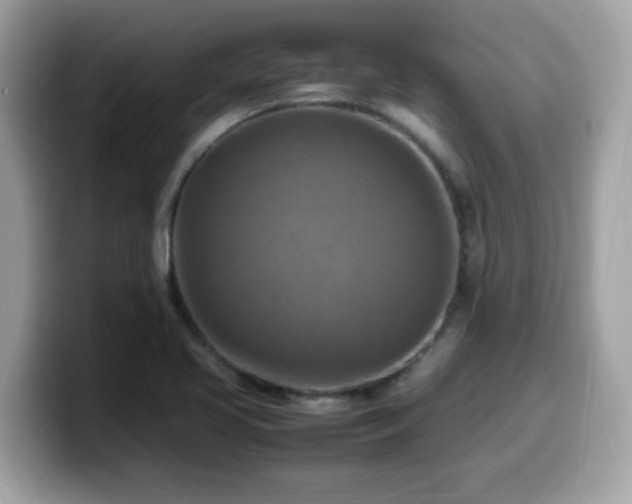 X0000099981413200805301344
