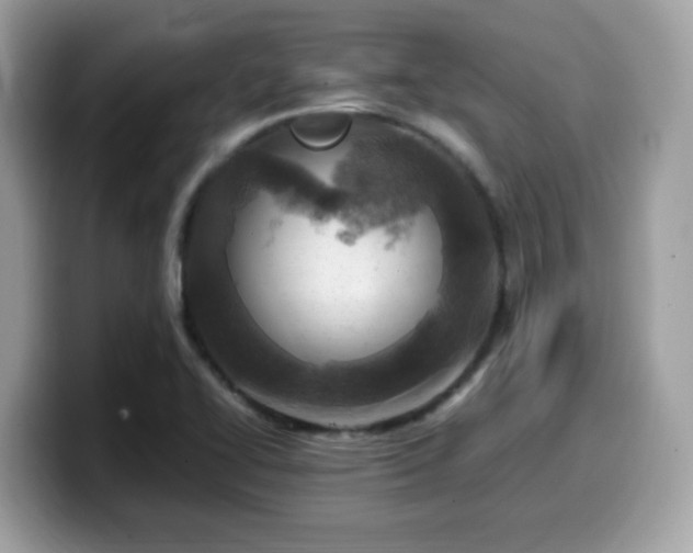 X0000099981414200805301344