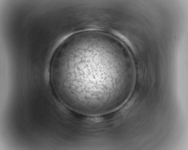 X0000099981415200805301344