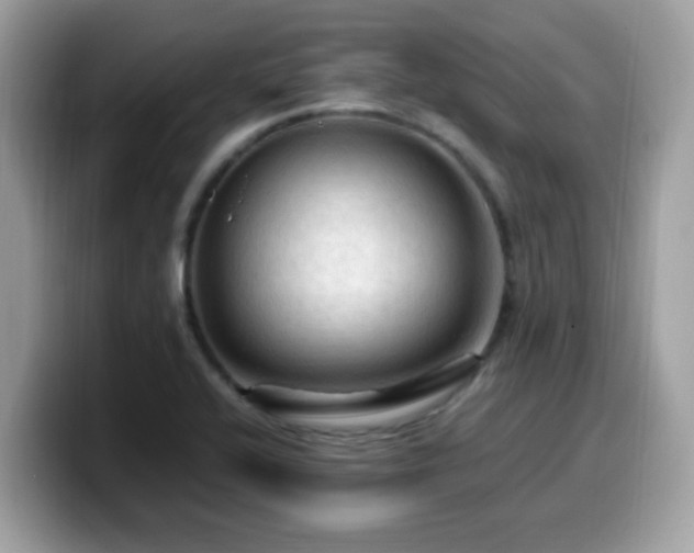 X0000099981416200805301344