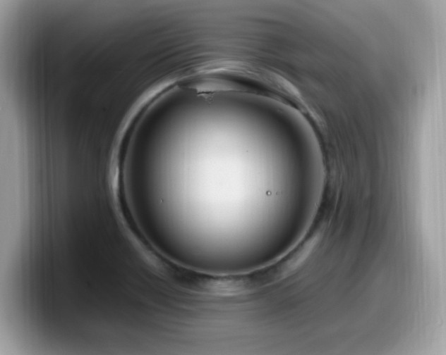 X0000099981418200805301344