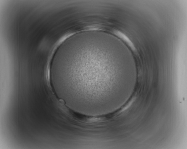 X0000099981419200805301344