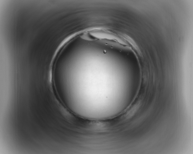 X0000099981420200805301344