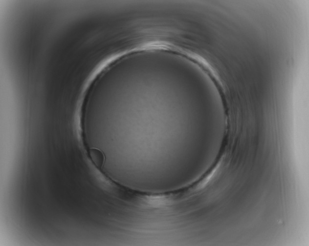 X0000099981422200805301344