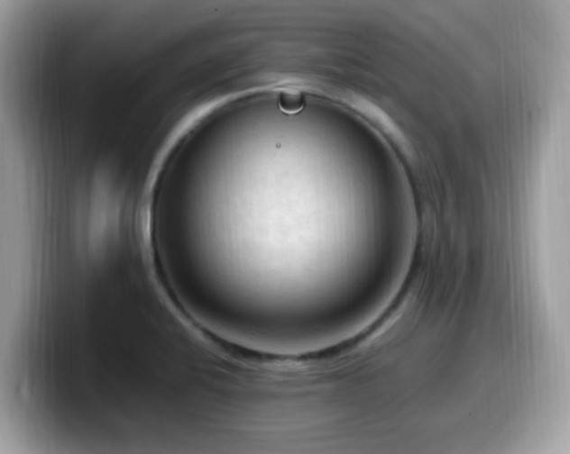 X0000099981424200805301344