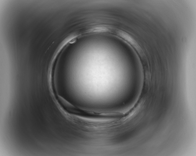 X0000099981426200805301344