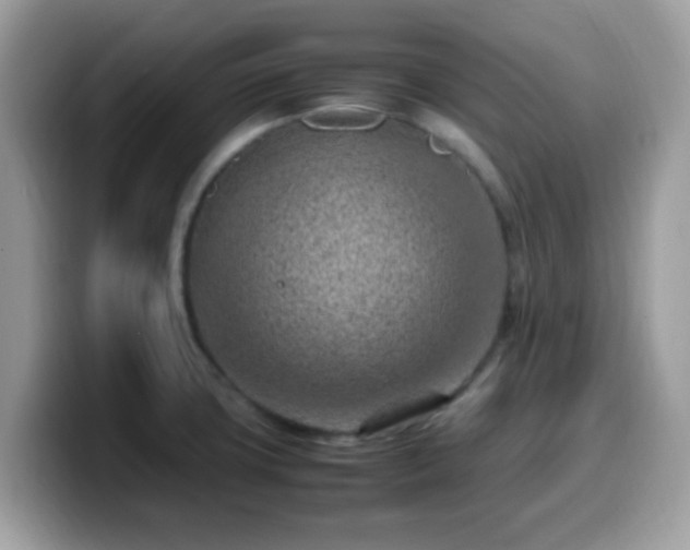 X0000099981427200805301344