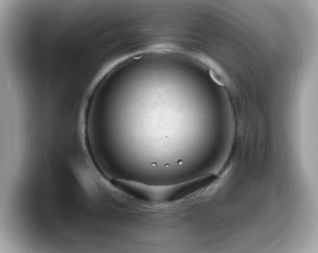 X0000099981430200805301344