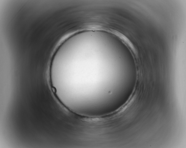 X0000099981432200805301344