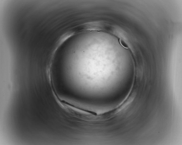 X0000099981433200805301345