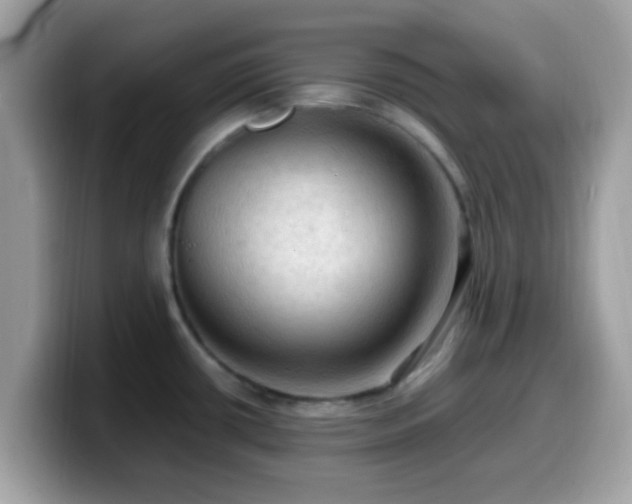 X0000099981434200805301345