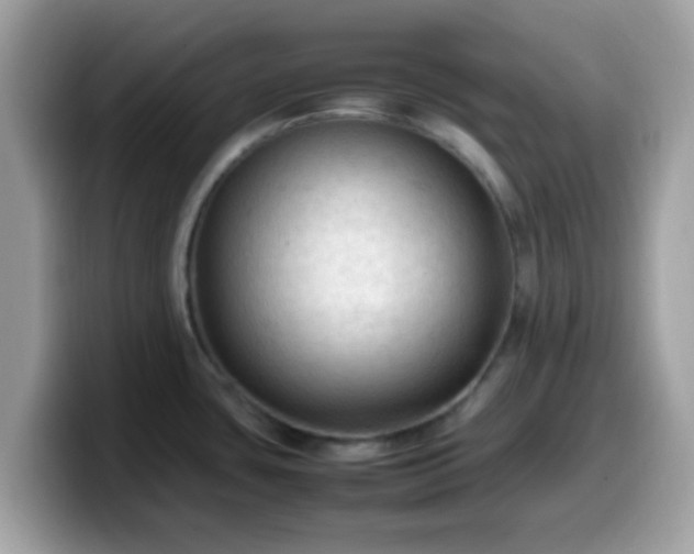 X0000099981435200805301345