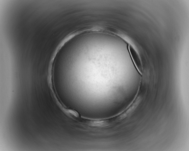 X0000099981437200805301345