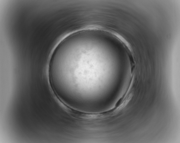X0000099981438200805301345
