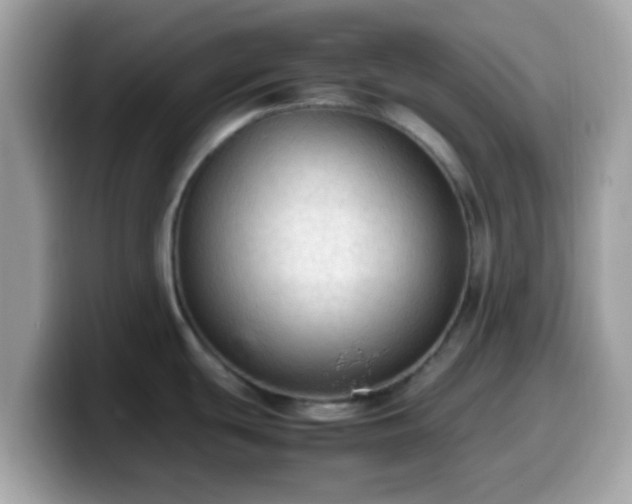 X0000099981439200805301345