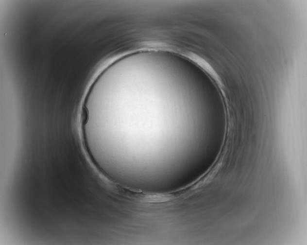 X0000099981440200805301345