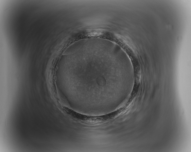 X0000099981441200805301344