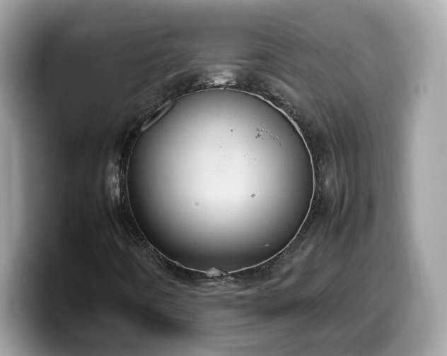 X0000099981442200805301344