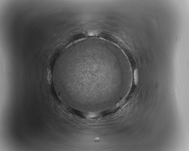 X0000099981443200805301344