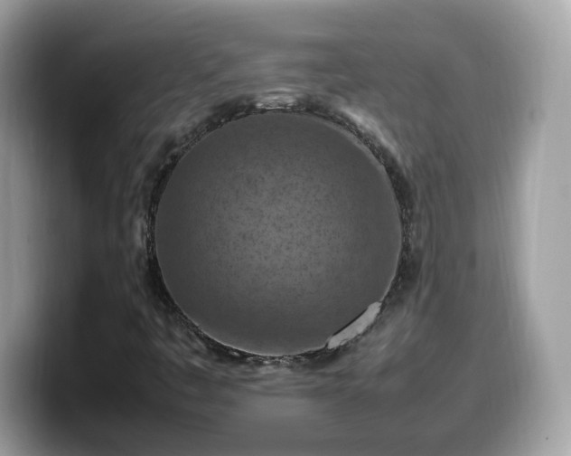 X0000099981445200805301344
