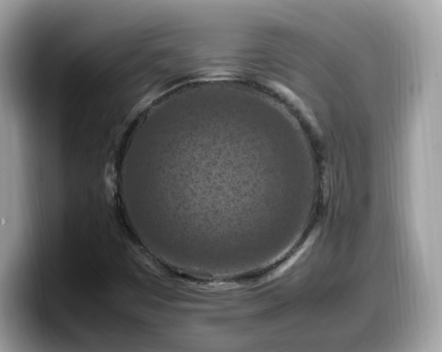 X0000099981449200805301344