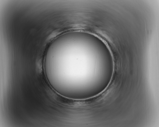 X0000099981451200805301344