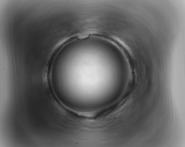 X0000099981452200805301344