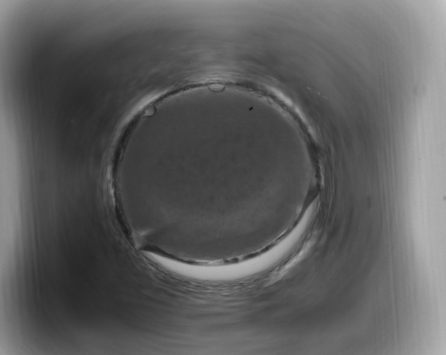 X0000099981453200805301344