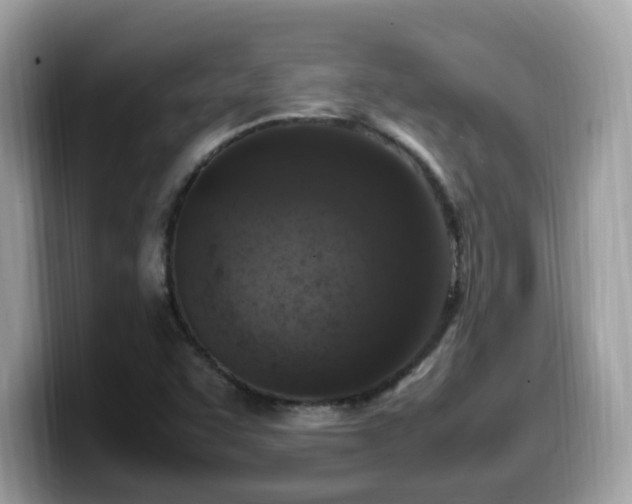 X0000099981455200805301344
