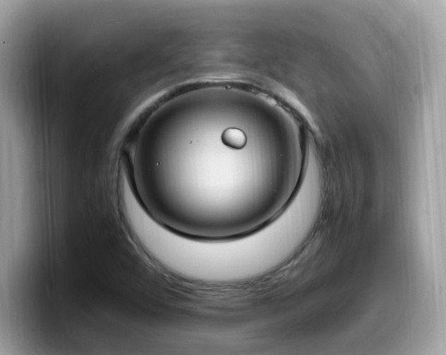 X0000099981456200805301344