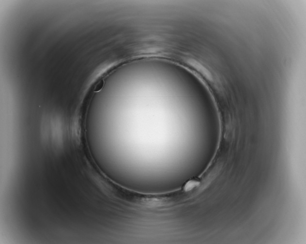 X0000099981458200805301344