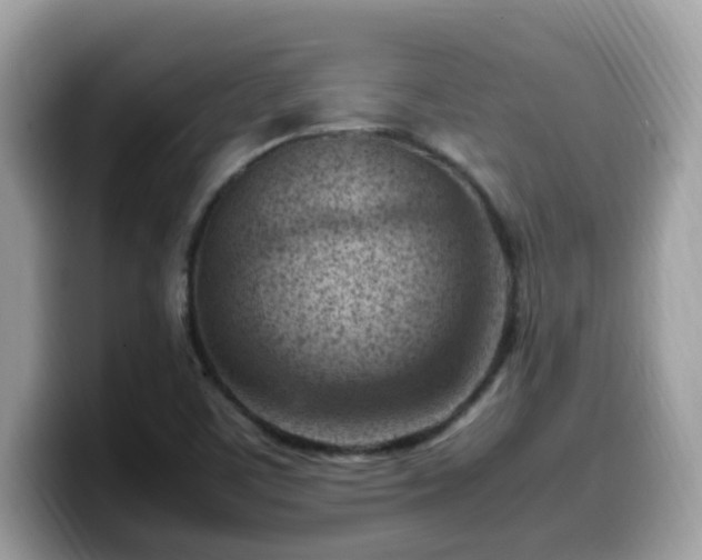 X0000099981459200805301344