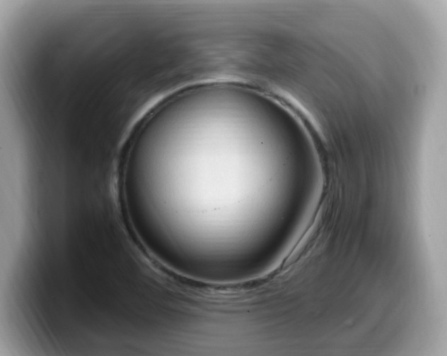 X0000099981460200805301344